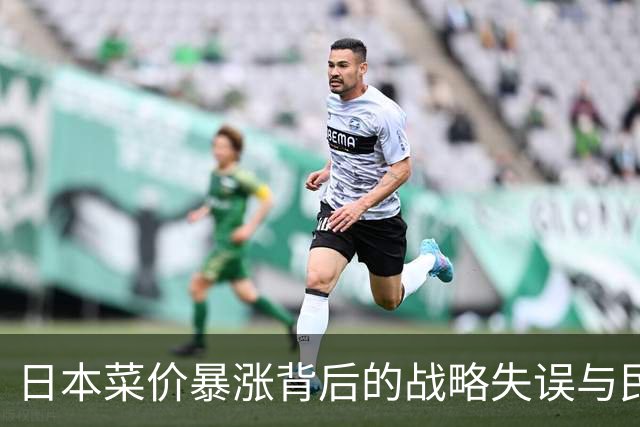 日本菜价暴涨背后的战略失误与民生危机